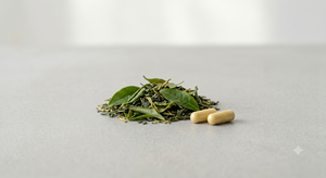 Green Tea Extract