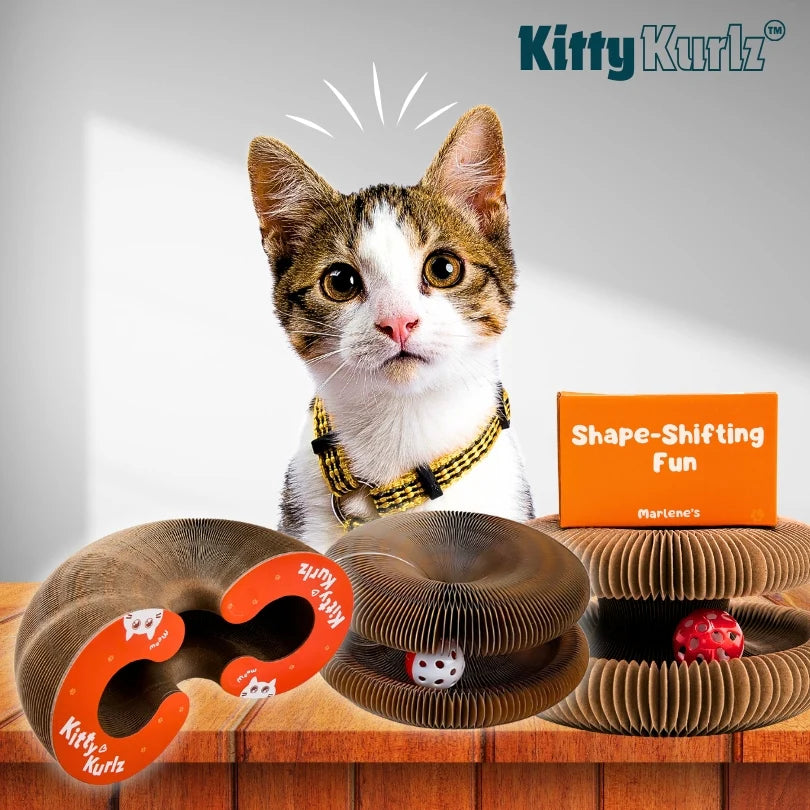 Kitty Kurlz