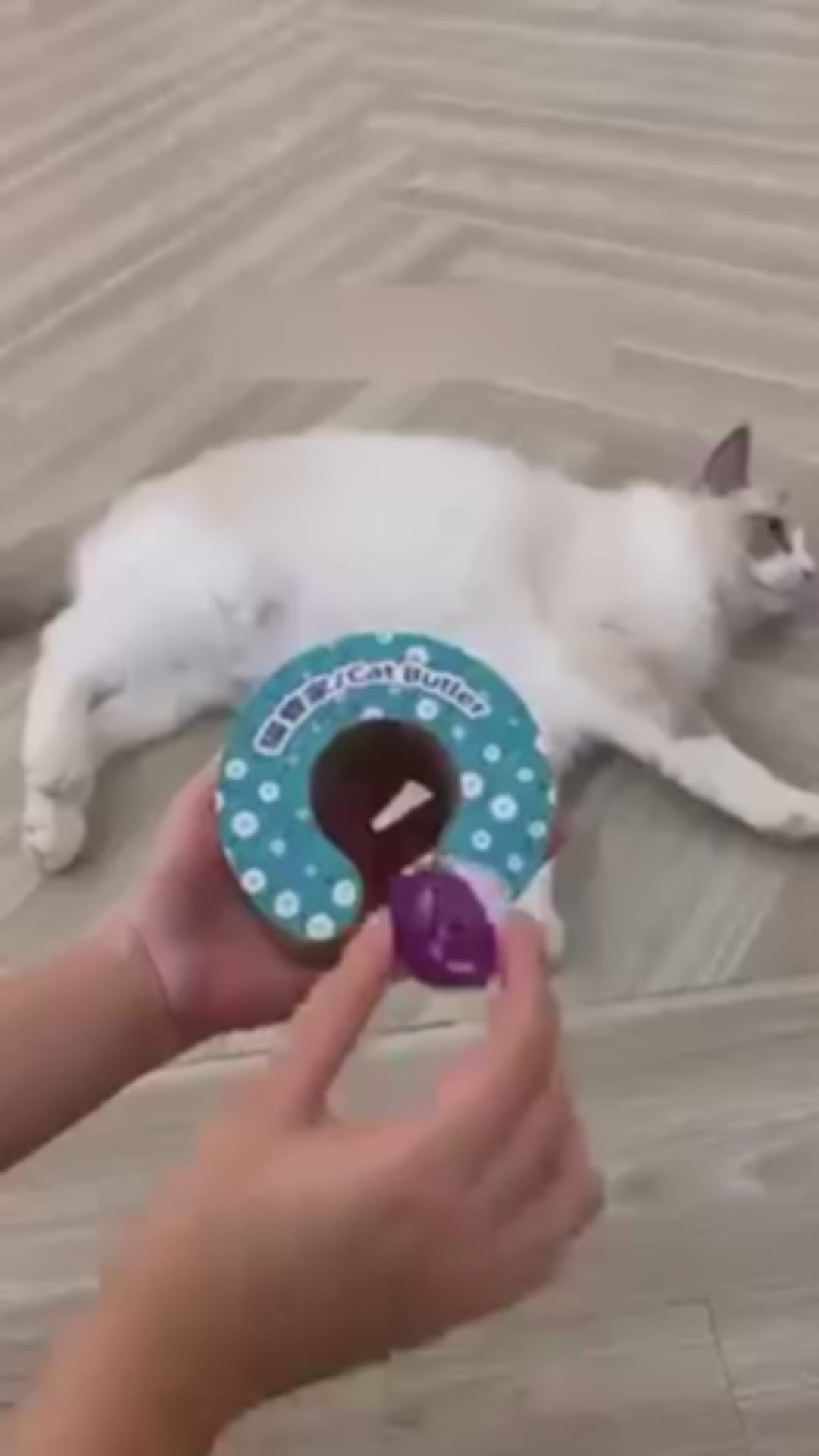 Kitty Kurlz